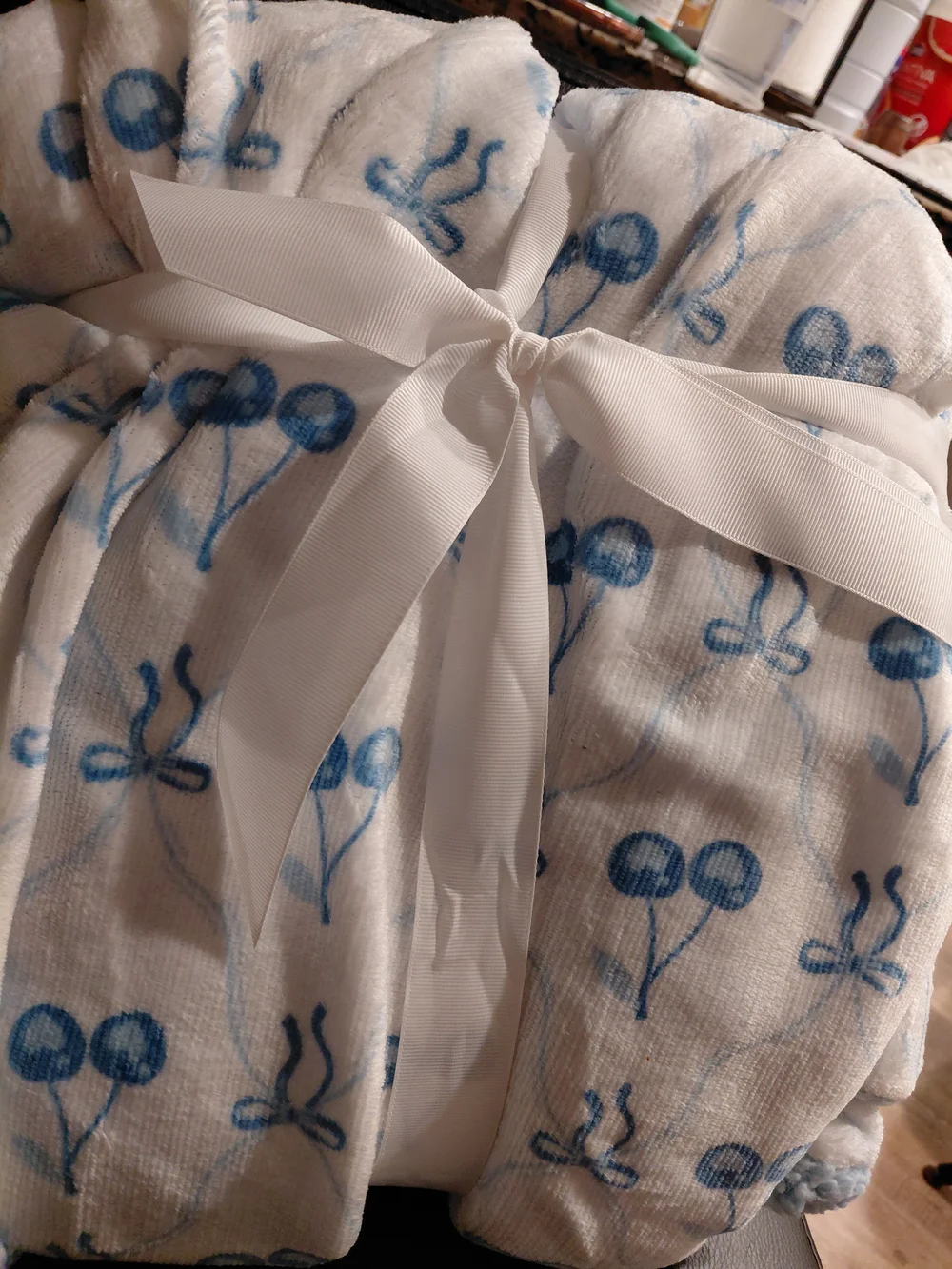 Double Layered Plush Throw - Blue and White